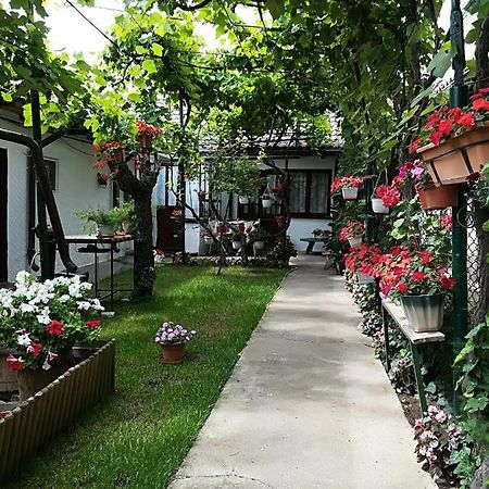 Flower House Констанца Екстер'єр фото